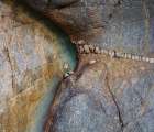 Spain, Playa del Silencio. Close-up of rock patterns. Art Print